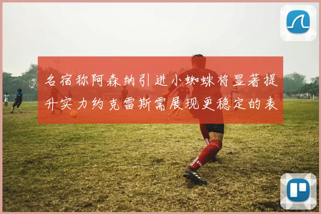 名宿称阿森纳引进小蜘蛛将显著提升实力约克雷斯需展现更稳定的表现