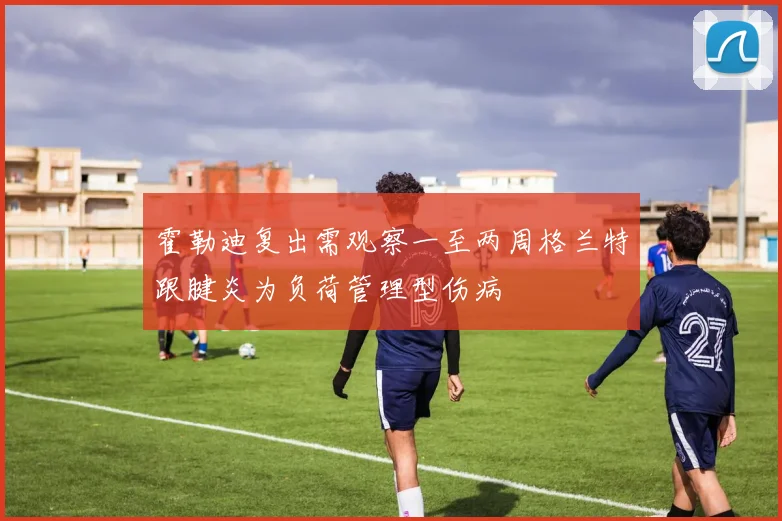 霍勒迪复出需观察一至两周格兰特跟腱炎为负荷管理型伤病