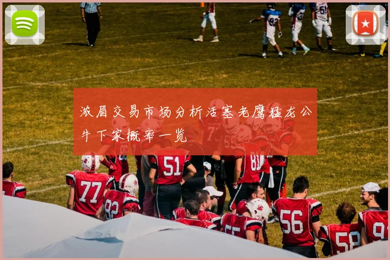 浓眉交易市场分析活塞老鹰猛龙公牛下家概率一览