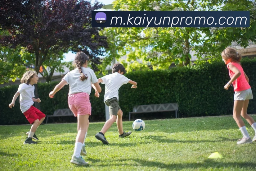 开云体育发展历程